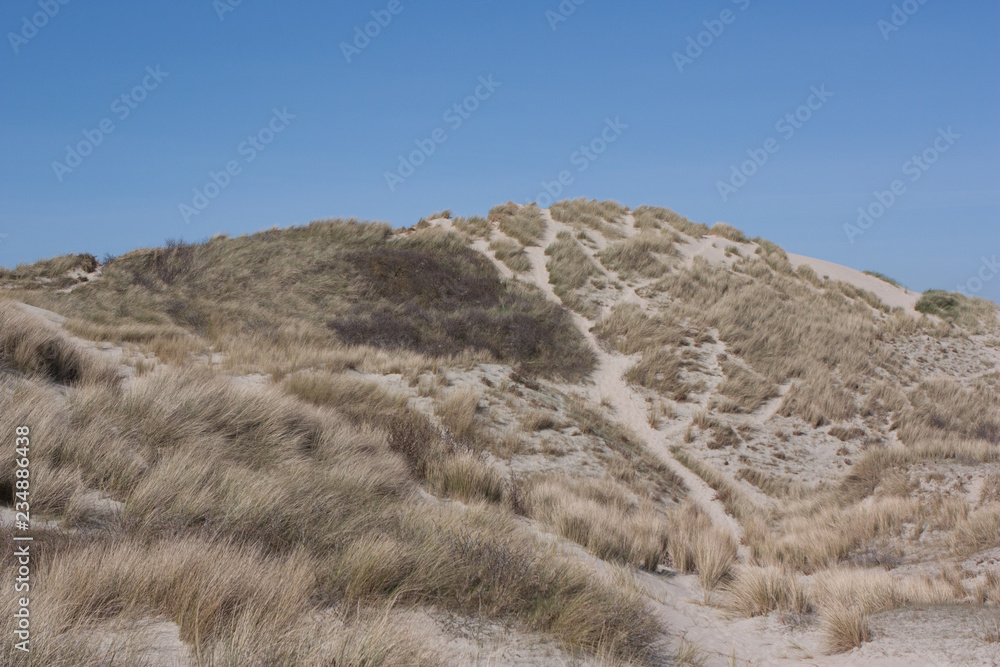 Dune Dune