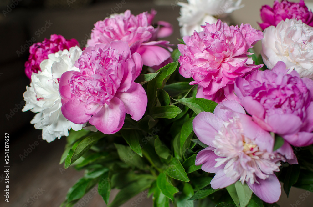 bouquet of pink peonies
