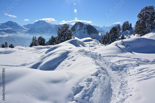 Snowy hiking trail with panorama view in switzerland on bettmeralp