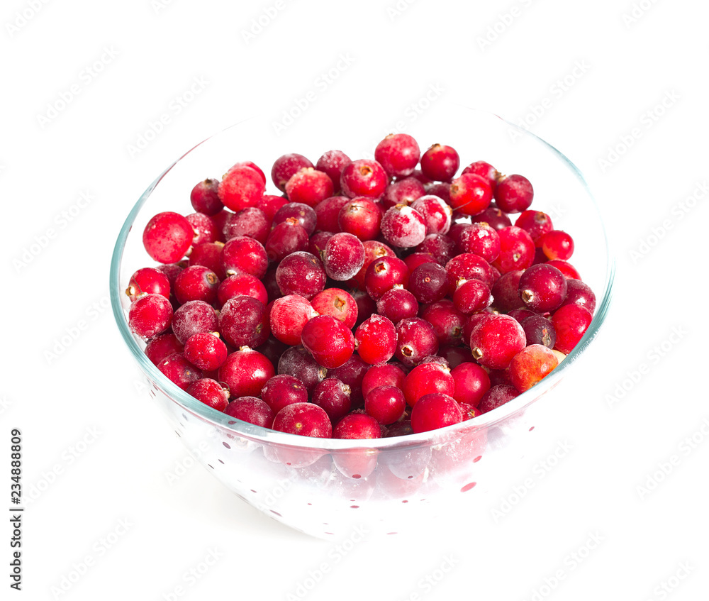 frozen cranberries isolated frozen cranberries isolated