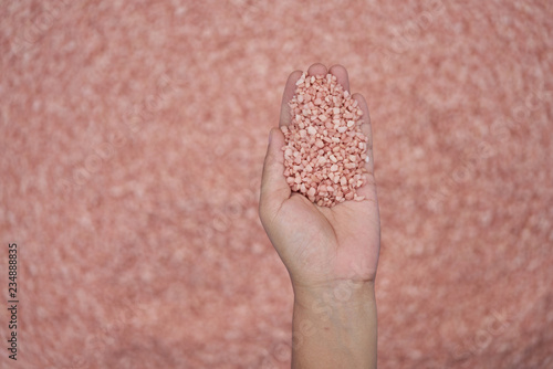 pink fertilizer in hand
