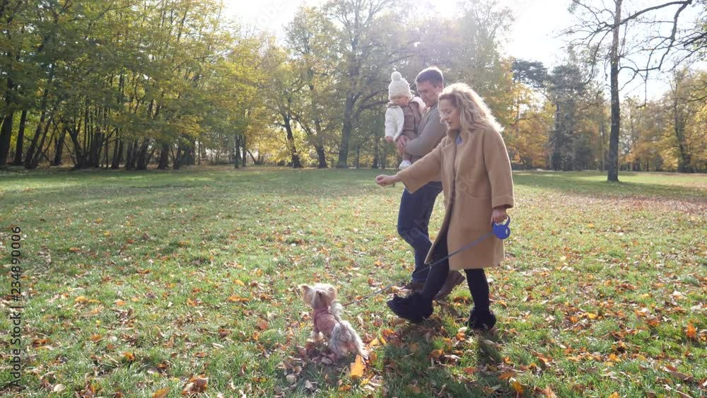 Adult parents walking holding hands in an autumn park with toddler baby and pet dog Adult parents walking holding hands in an autumn park with toddler baby and pet dog