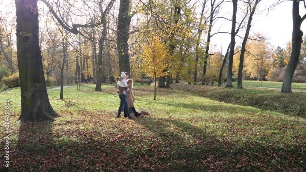 Family father mother and baby daughter with pet dog chihuahua walking in autumn park Family father mother and baby daughter with pet dog chihuahua walking in autumn park