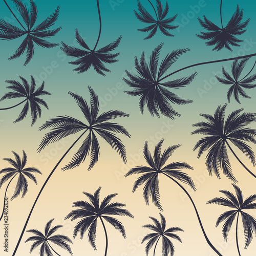 Coconut palm trees on colorful background. Beautiful palm trees. © Tanya