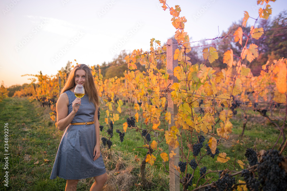 Young woman drinking wine in vineyard. - obrazy, fototapety, plakaty 