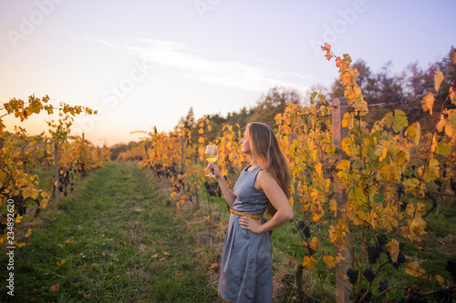 Young woman drinking wine in vineyard. © Martin