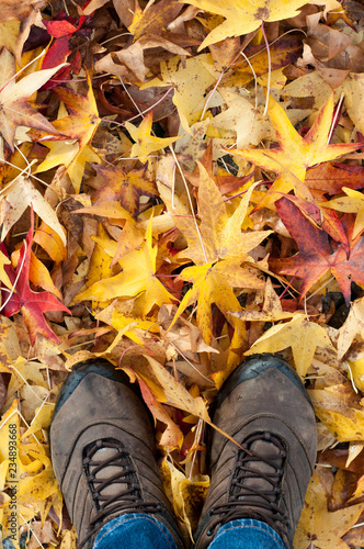 walk through Autumn