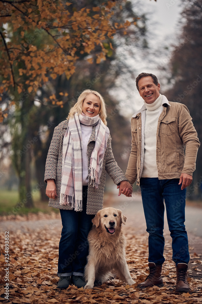 Senior couple in park in autumn Senior couple in park in autumn