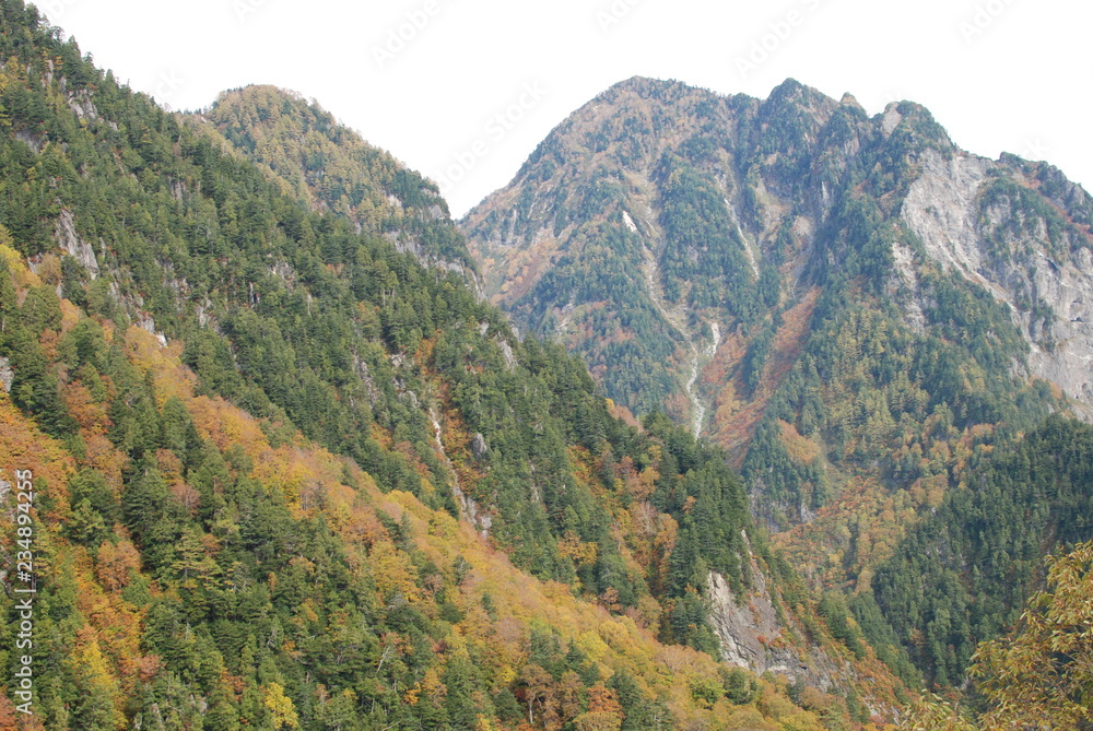 Natural landscape view of the autumn red-orange-green color forest on the mountain