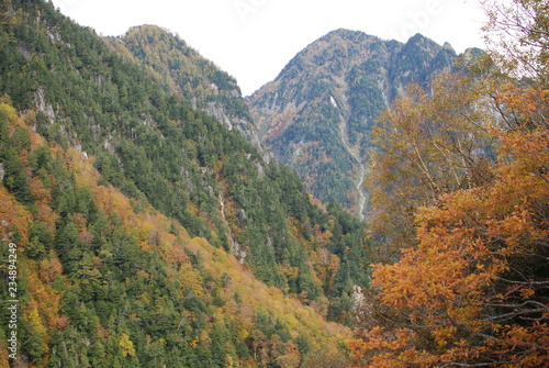 Natural landscape view of the autumn red-orange-green color forest on the mountain © Surakit