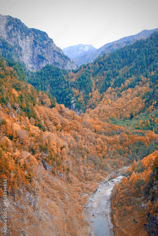 Natural landscape view of the autumn red-orange-green color forest on the mountain Natural landscape view of the autumn red-orange-green color forest on the mountain