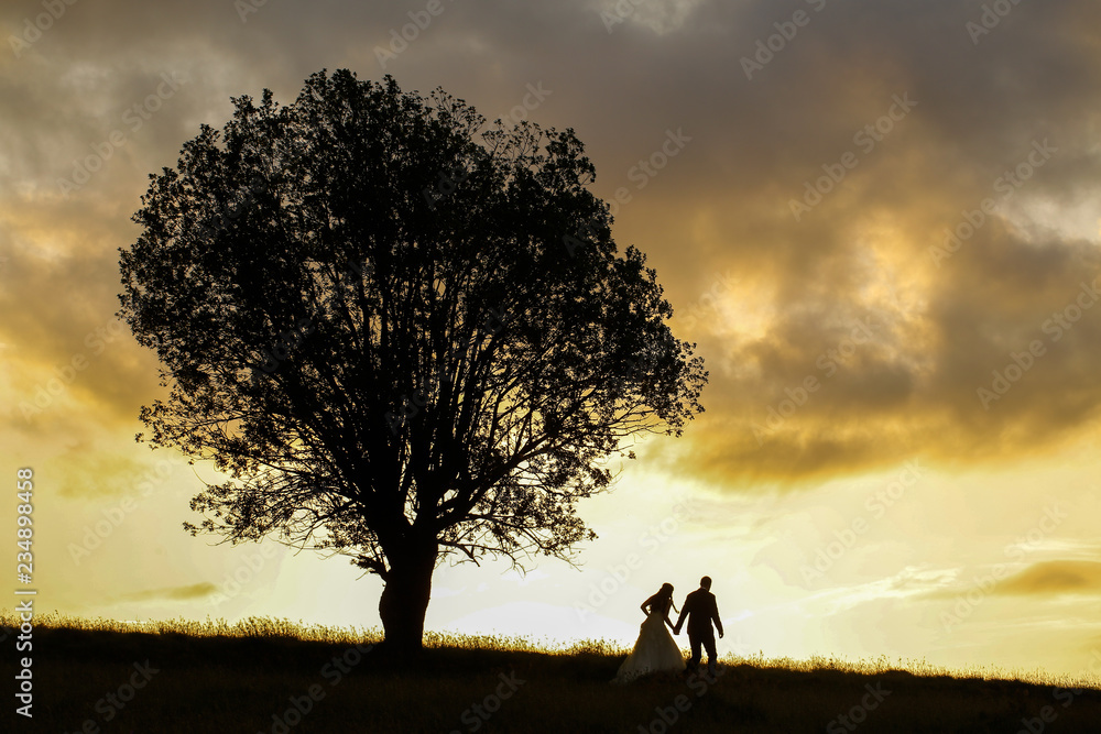 Silhouette of couple posing on sunset near tree