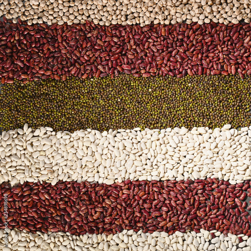 Pattern with white beans, red beans, mung and chickpea. Horizontal. Top view.