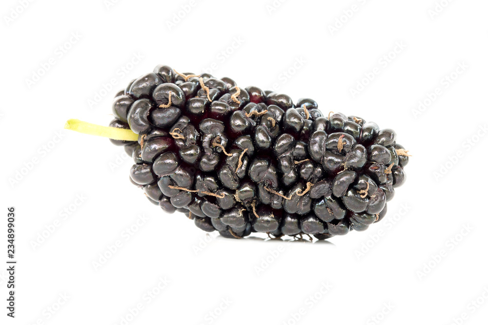 Mulberry is healthy fruit for make juice put on white background Mulberry is healthy fruit for make juice put on white background