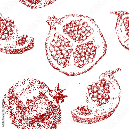 Pomegranate fruit vintage design template. Botanical fruit. Engraved pomegranate. Hand drawn pomegranate composition. Vector engraved illustration. Juicy natural fruit. Food healthy ingredient. 