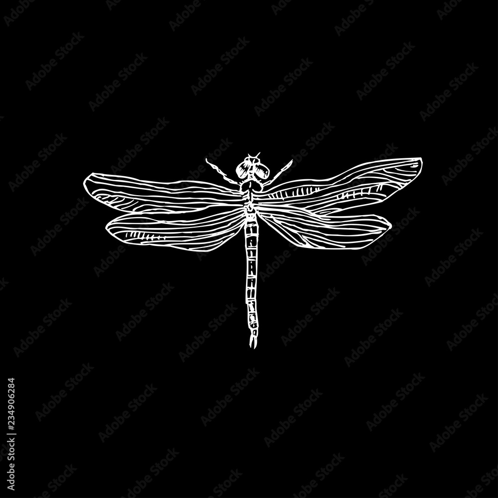 Obraz premium 곤충 일러스트 / 손으로 그린 곤충 스케치