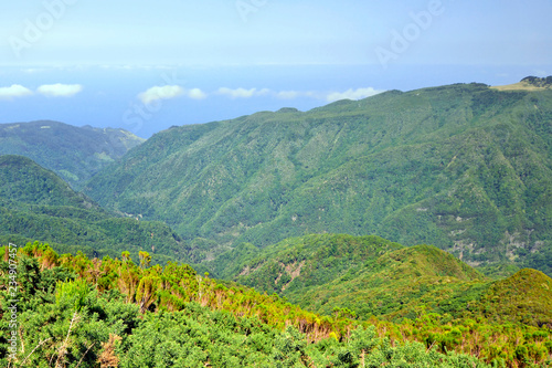 Bispo Forest Park, Madeira Island, Portugal