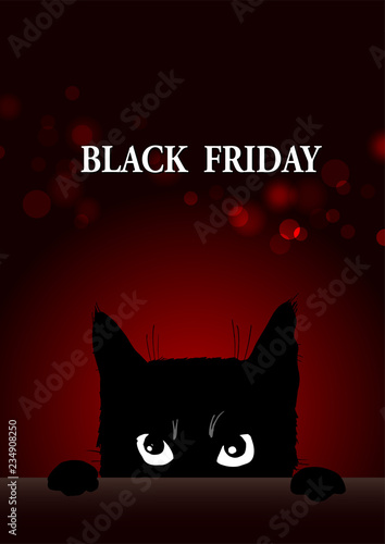Black friday poster with angry black cat