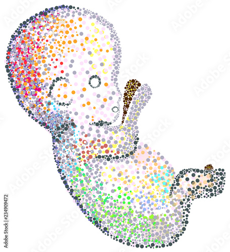 Human fetus - mosaic pattern - single cell biology