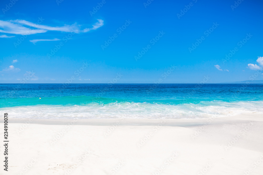 Fototapeta premium Tropical white beach with blue ocean in tropical island