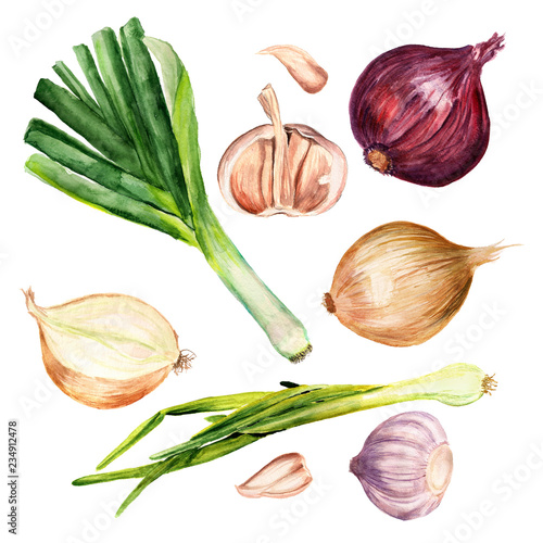 Set of onions and garlic photo