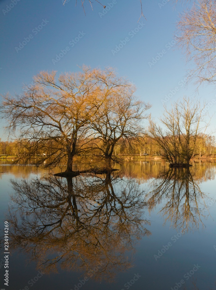 Obraz premium reflet