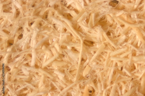 Background Oil palm fiber, Close up Oil palm fiber under the microscope for Chemical analysis in Lab.