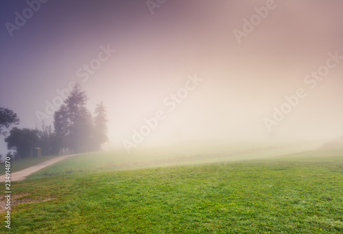 Morning view of the lawn through dense fog.