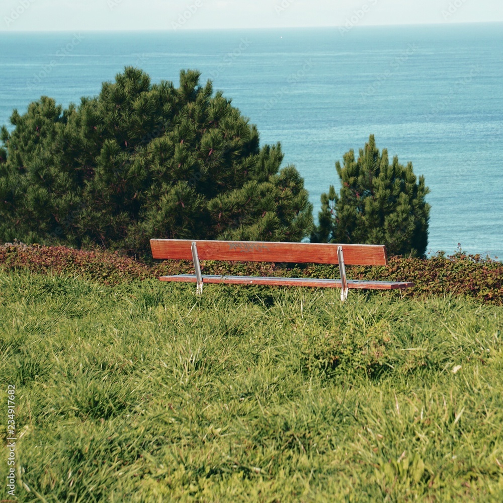 Obraz premium the wooden bench alone