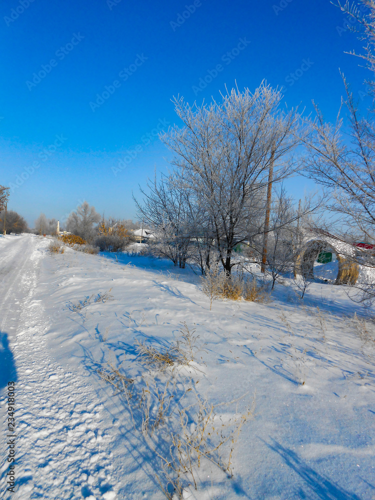 A winter clear day, a rural landscape with a rustic garden covered with snow. frozen branches of trees. in the background are seen small houses. A winter clear day, a rural landscape with a rustic garden covered with snow. frozen branches of trees. in the background are seen small houses.