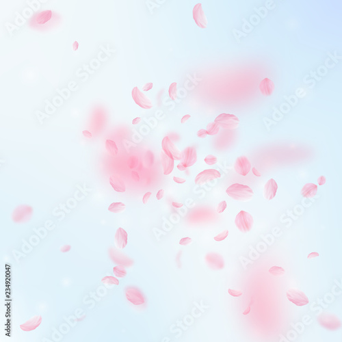 Sakura petals falling down. Romantic pink flowers 