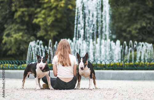 Girl and her two bull terrier friends. Girl and her dogs.