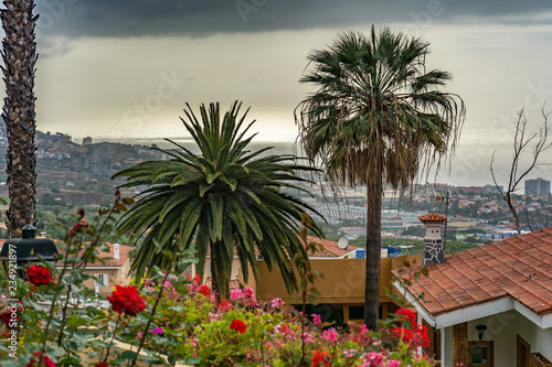 La Orotava is a municipality belonging to Santa Cruz de Tenerife, on the island of Tenerife (Canary Islands, Spain). The municipal capital is located in the town of La Orotava © Enrique del Barrio