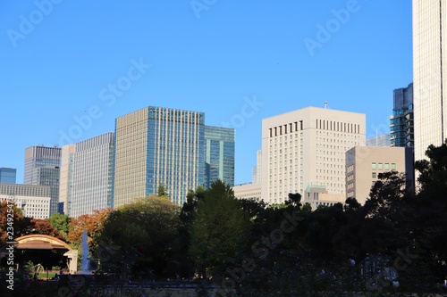 日比谷公園から見える都会の風景