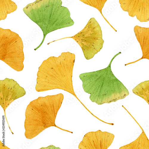 Hand drawn watercolor seamless pattern of ginkgo biloba leaves, isolated on white background. Can be used for greeting cards, invitations, postcards, textile design, patterns, prints, table napkins.