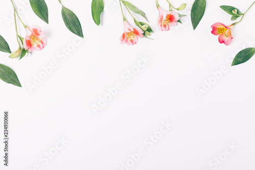 Flat lay decorative frame of lovely pink alstroemeria flowers