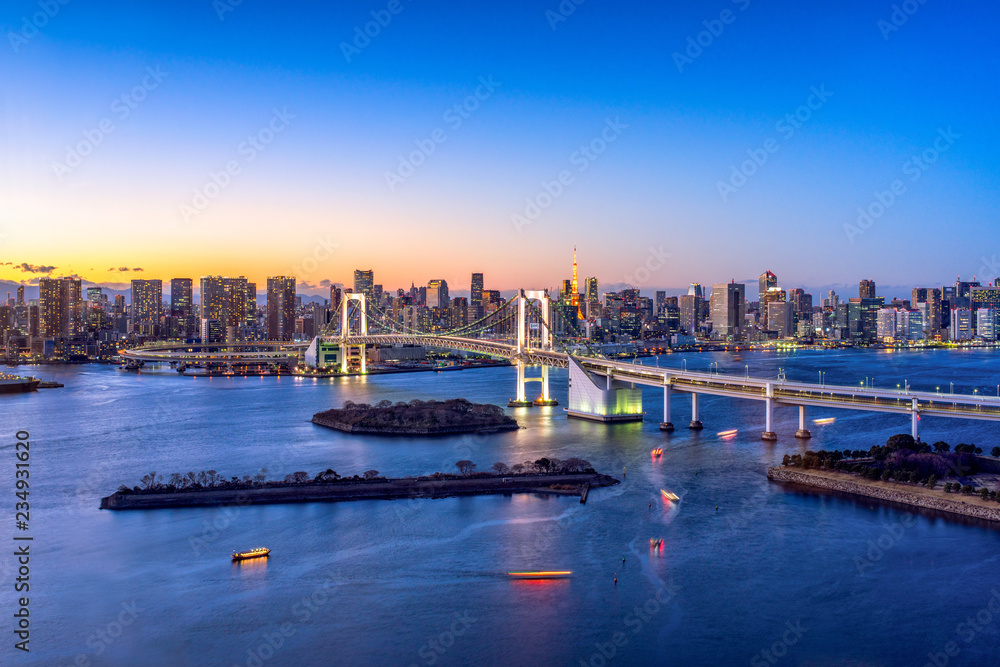 Fototapeta premium Rainbow Bridge i Tokyo Tower w Odaiba, Tokio, Japonia