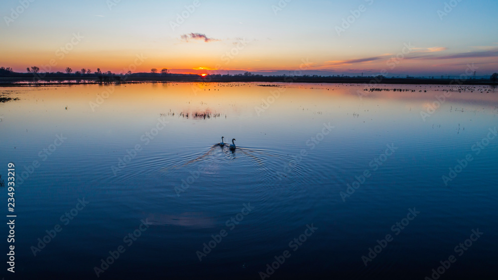 Animals on the backwaters at sunset