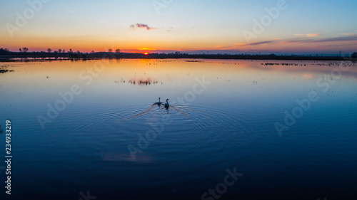 Animals on the backwaters at sunset