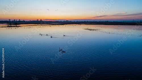 Fototapeta Naklejka Na Ścianę i Meble -  Animals on the backwaters at sunset