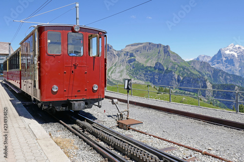 schynige platte, berner alpen, schweiz 