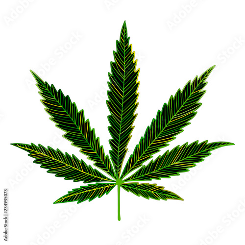 Cannabis leaf, sketch for your design