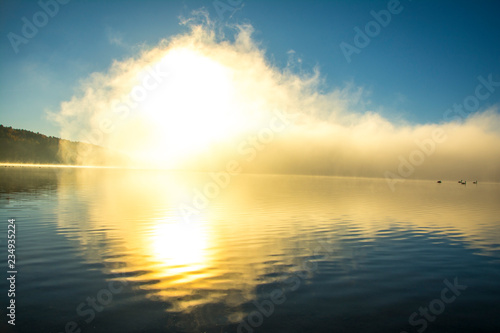 nature, desktop background, Board background, fog, sun, swans, white, lake, green, water, autumn, trees
