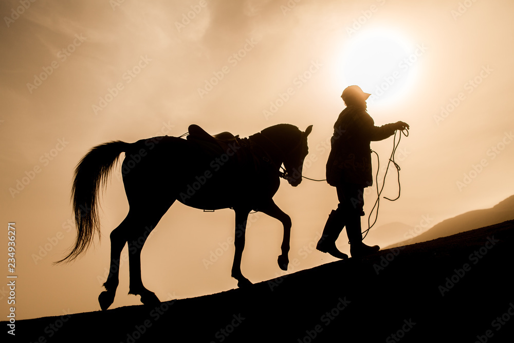 Man with a horse in Silhouette up the mountain