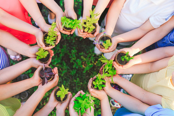 People Hands Cupping Plant Nurture Environmental