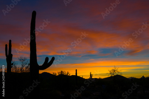 Sonoran desert sunrise © TomR