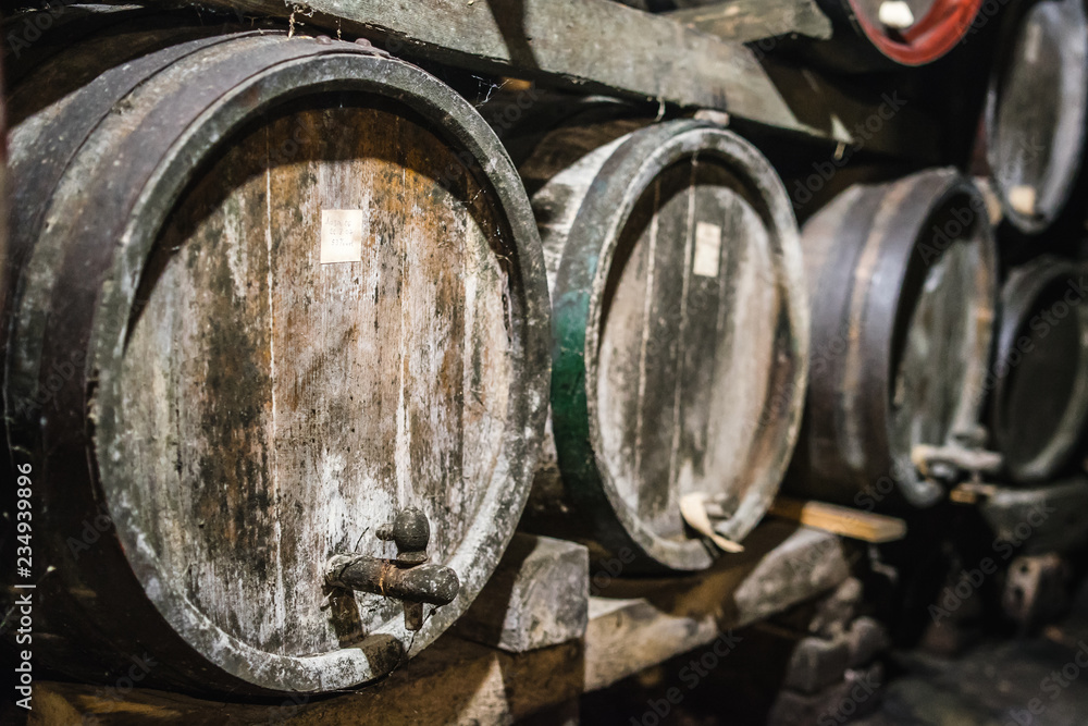 old wine barrels in a cellar