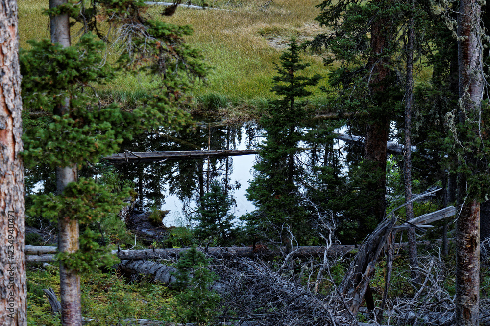 Obraz premium Mountain Pond