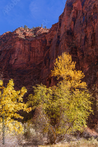 Scenic Zion National Park Utah in Autumn