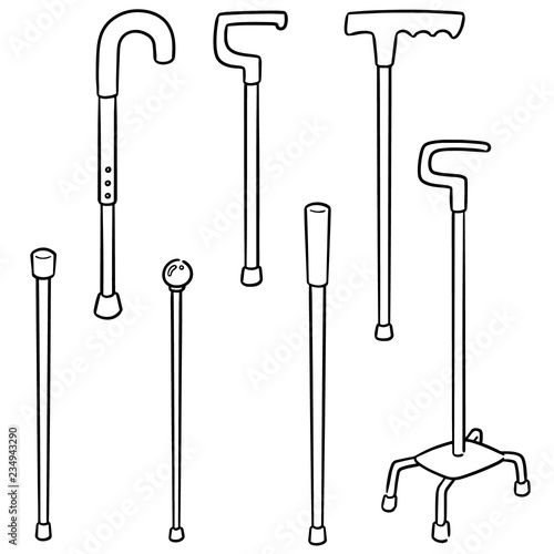 vector set of walking stick